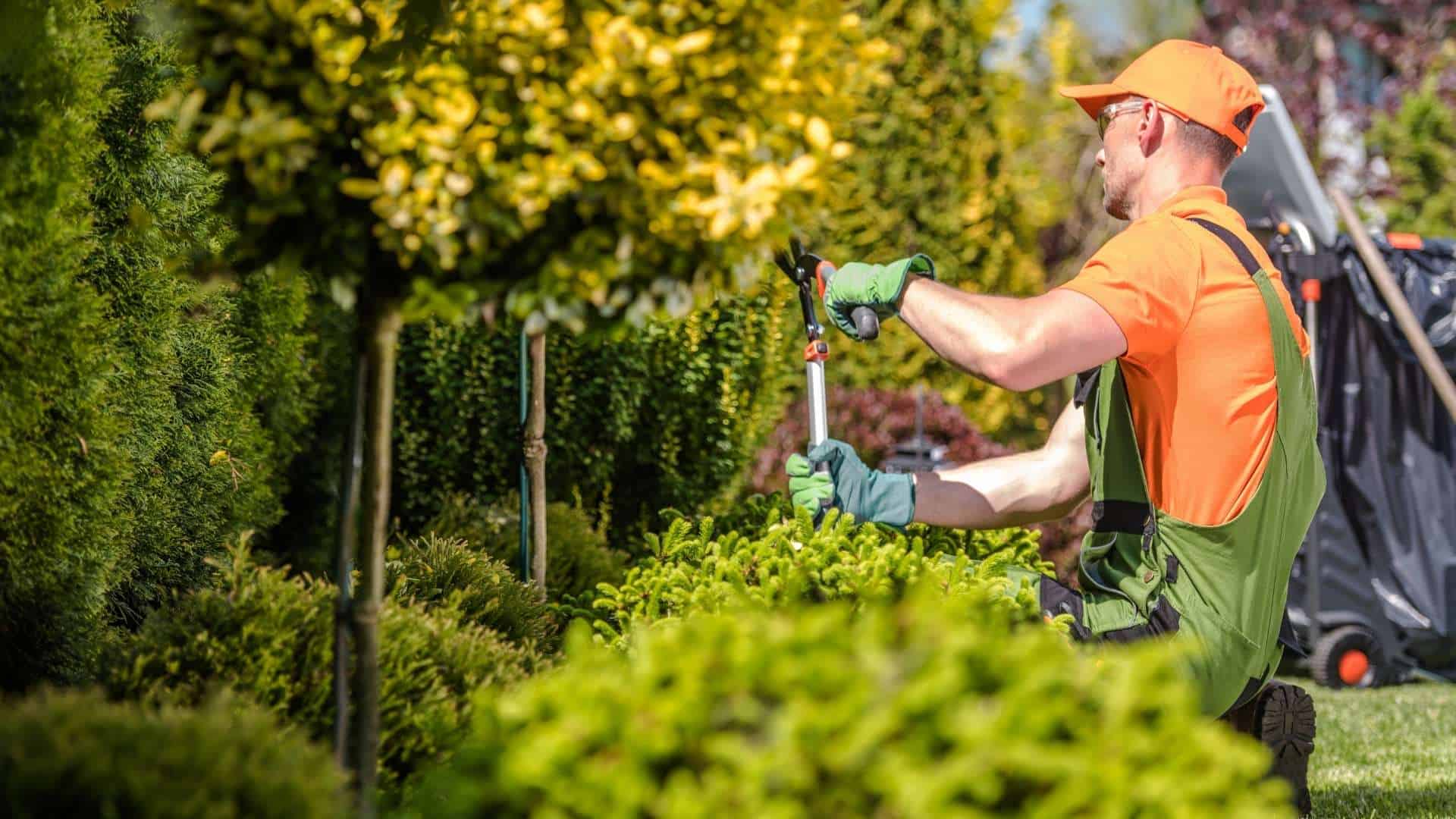 A gardener wearing orange and green work attire kneels while trimming a neatly shaped hedge. The garden, lush with various shades of green, highlights the meticulous Tree Care Berks County PA is known for. In the background, a wheelbarrow stands ready to assist in maintaining this verdant paradise.