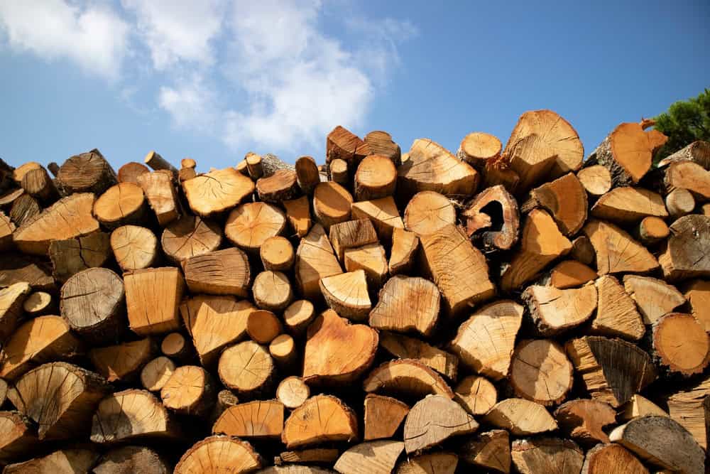 A large stack of cut firewood logs, neatly arranged against a clear blue sky, showcases the precision of Tree Care Berks County PA. The logs vary in size and feature distinct circular patterns from the tree rings.