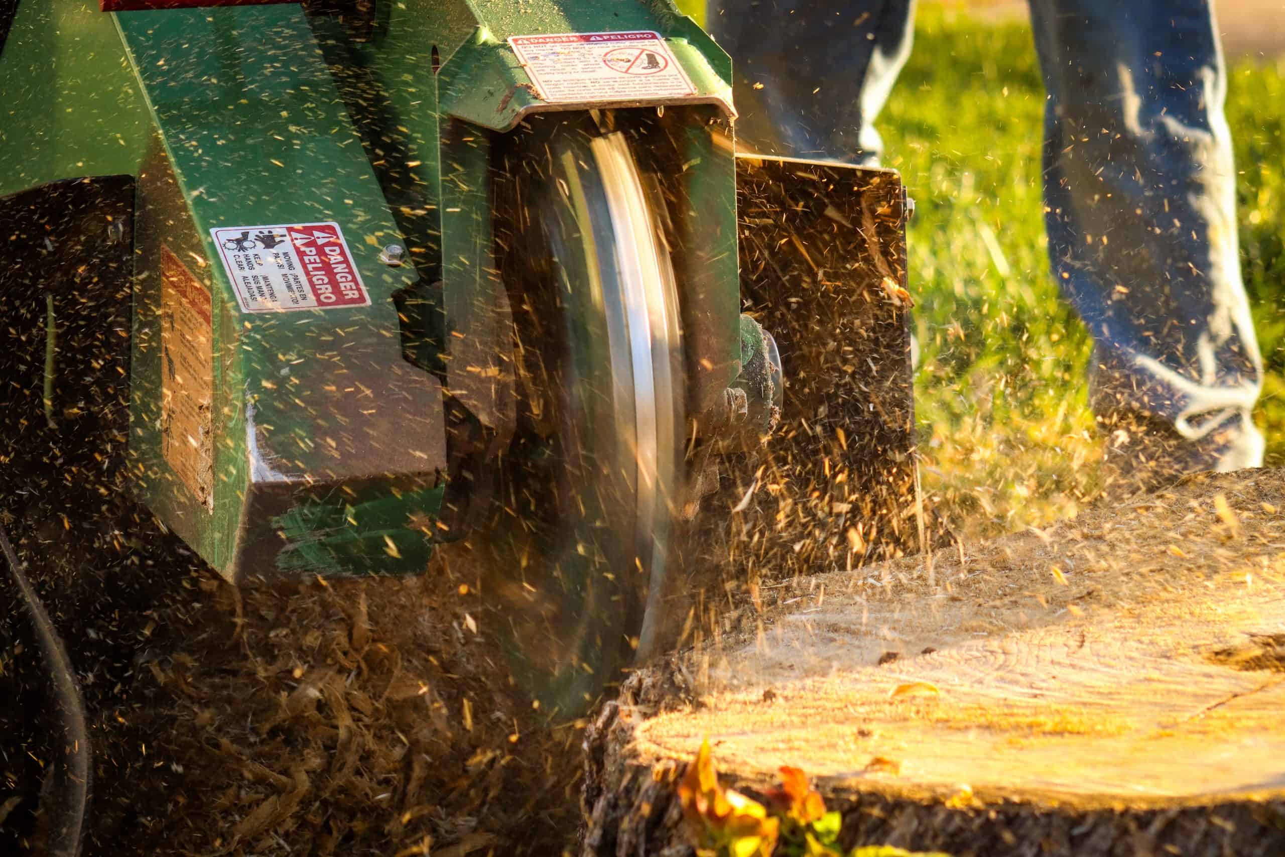 A close-up of a green stump grinder machine from a leading tree removal company in Berks County, PA, grinding a tree stump. Sawdust and wood chips are flying around. The machine has safety warnings, and a person's legs in jeans are visible in the background on a grassy area.