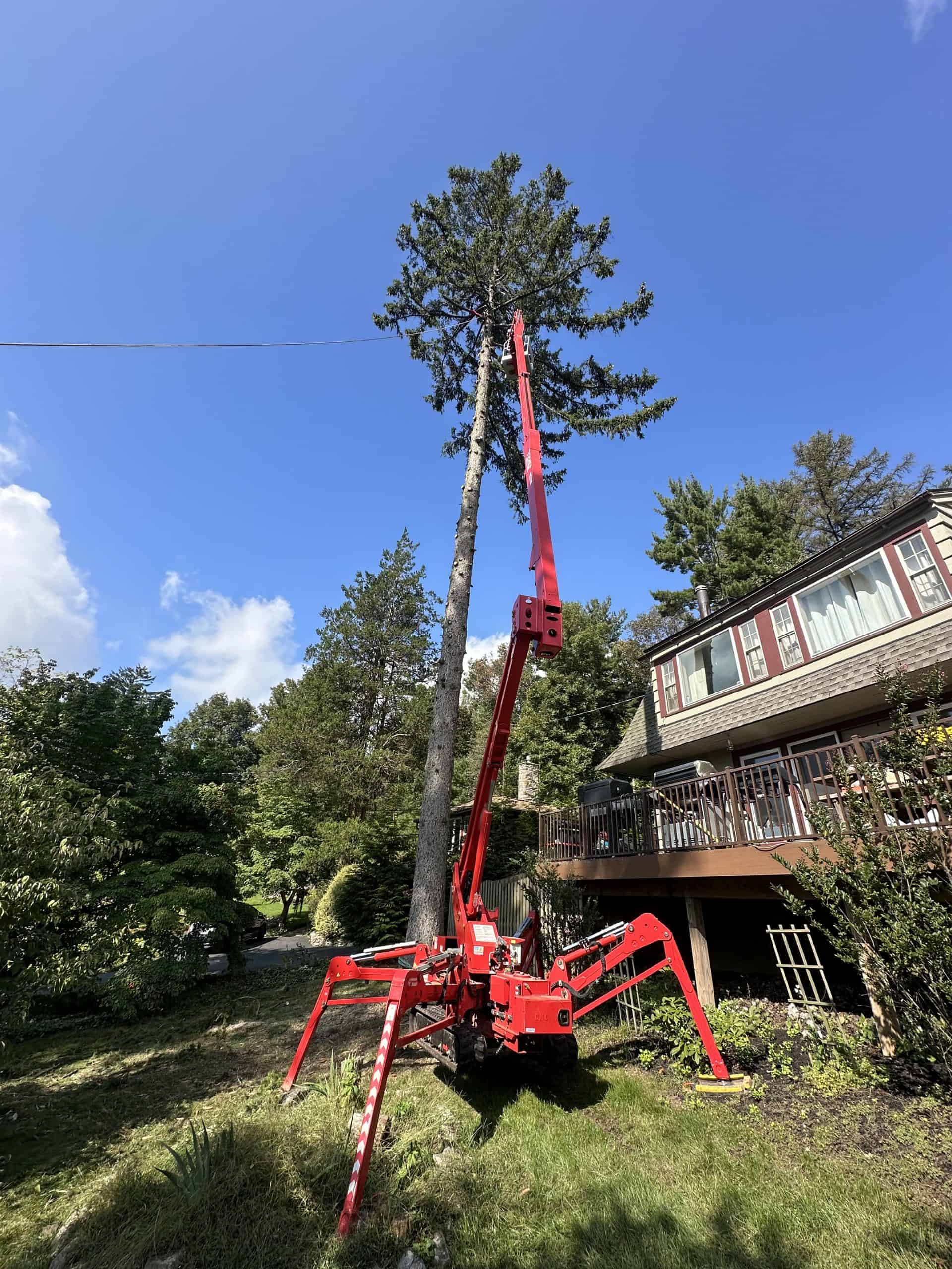 A red cherry picker with extended arm is trimming branches off a tall tree in a backyard. The tree is beside a house with a large wooden deck. Clear blue sky and surrounding green foliage visible.