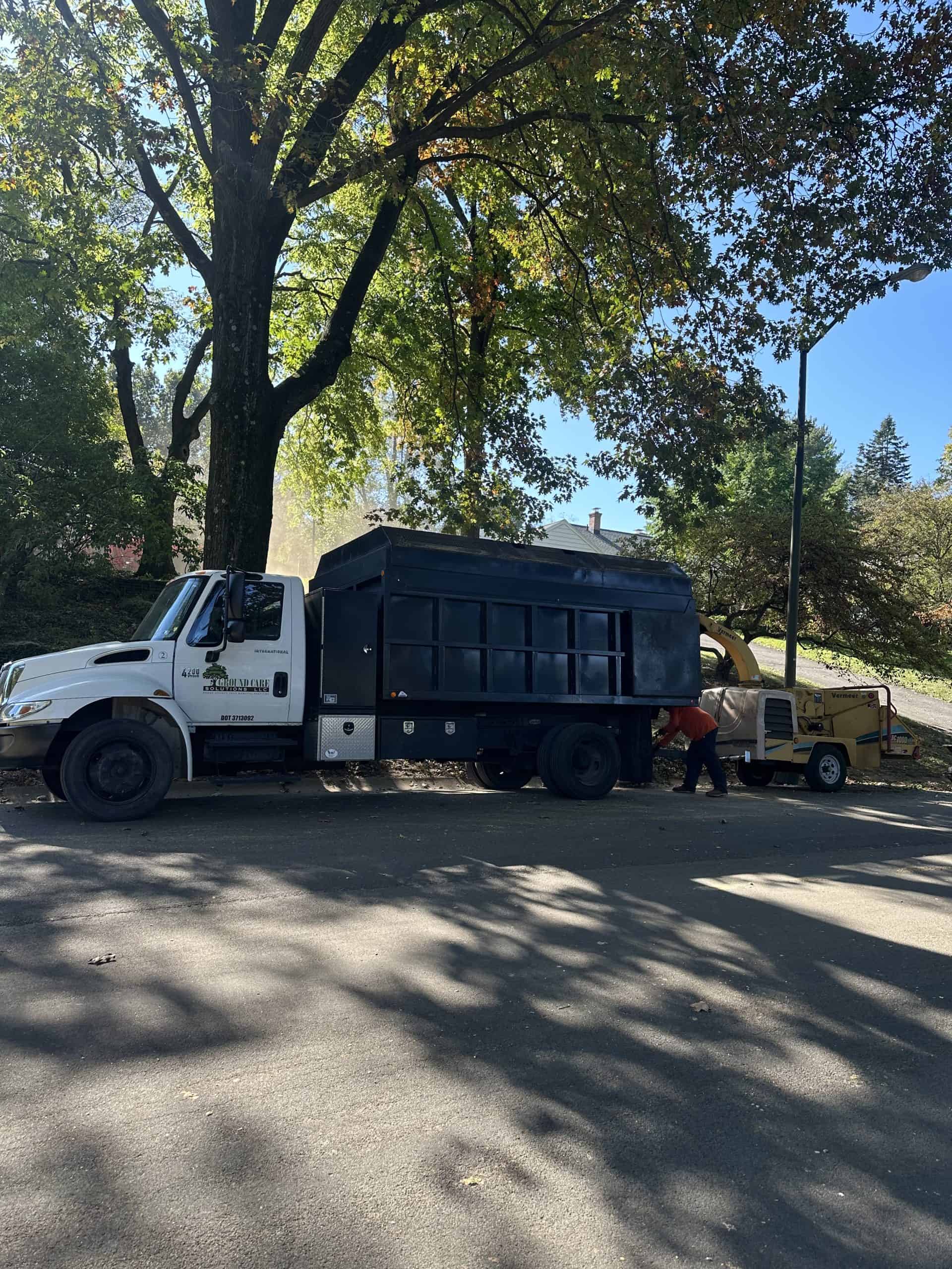 A large black truck is parked on a tree-lined street, with a person tending to something near the truck's rear. Sunlight filters through the leaves, creating dappled shadows on the ground. The scene is calm and natural.