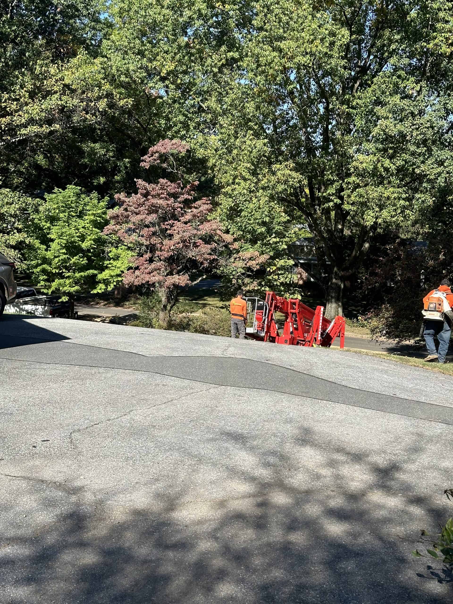 A group of workers in orange vests operate a red piece of machinery on a paved road. Trees with lush green and some red leaves line the background. Shadows cast by the sunlight are visible on the road.
