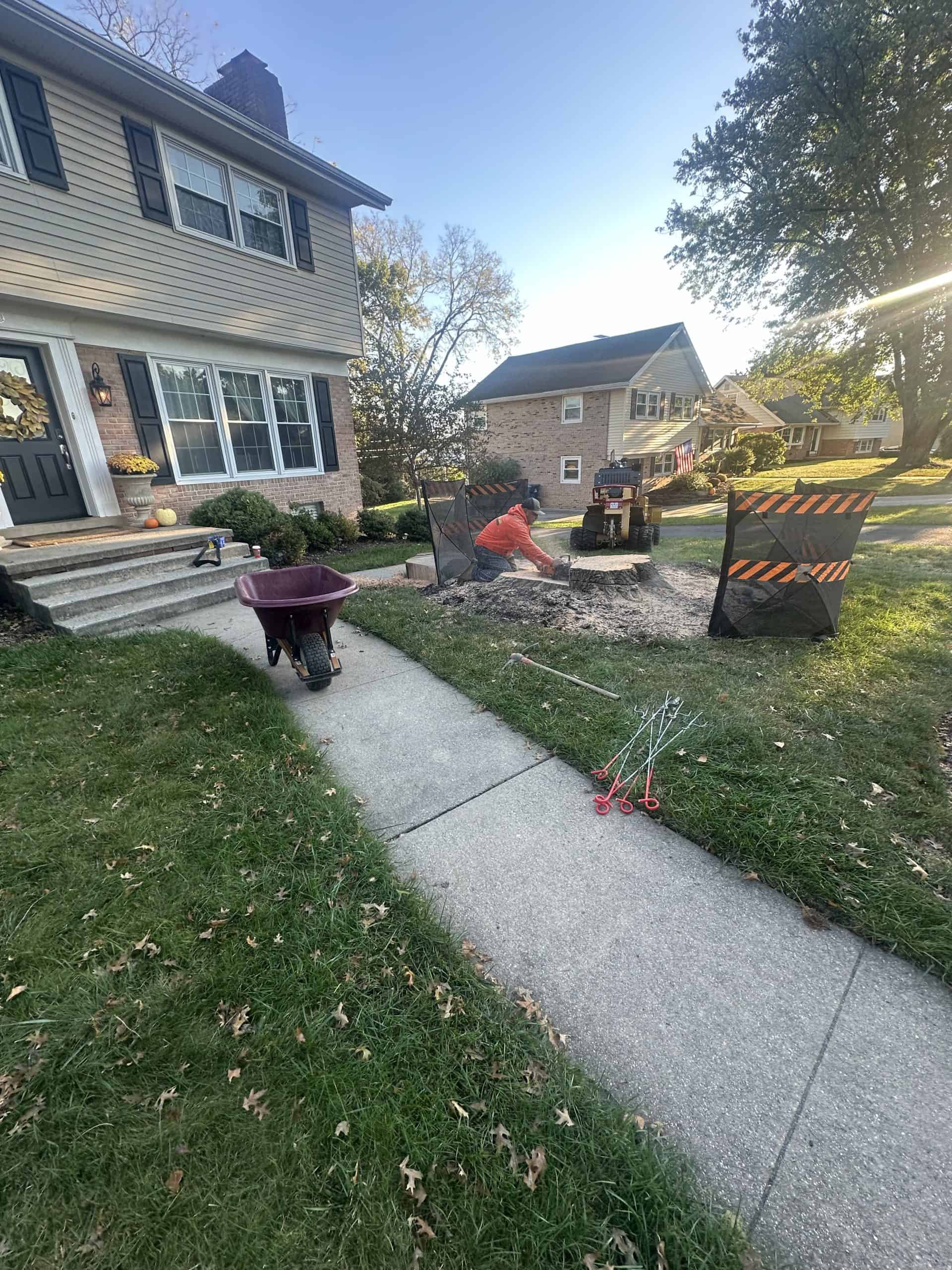 A person in orange clothing operates a stump grinder in front of a two-story house. A red wheelbarrow and safety barricades are visible on the lawn and sidewalk. The area is surrounded by trees and greenery.