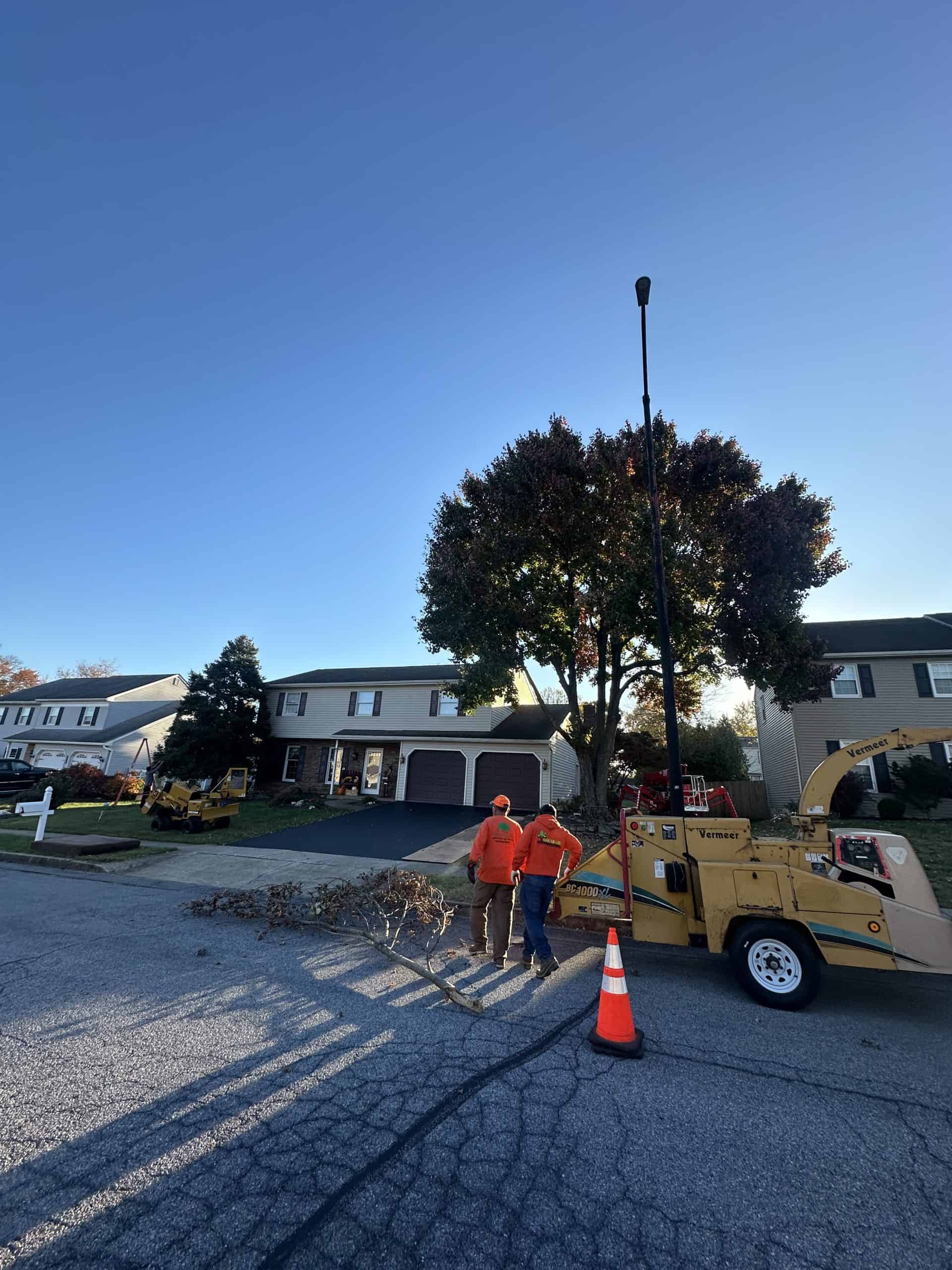 Two workers in orange safety gear stand next to a wood chipper on a residential street. Trees and houses are in the background, and an orange traffic cone is placed on the road near the equipment. The sky is clear and blue.