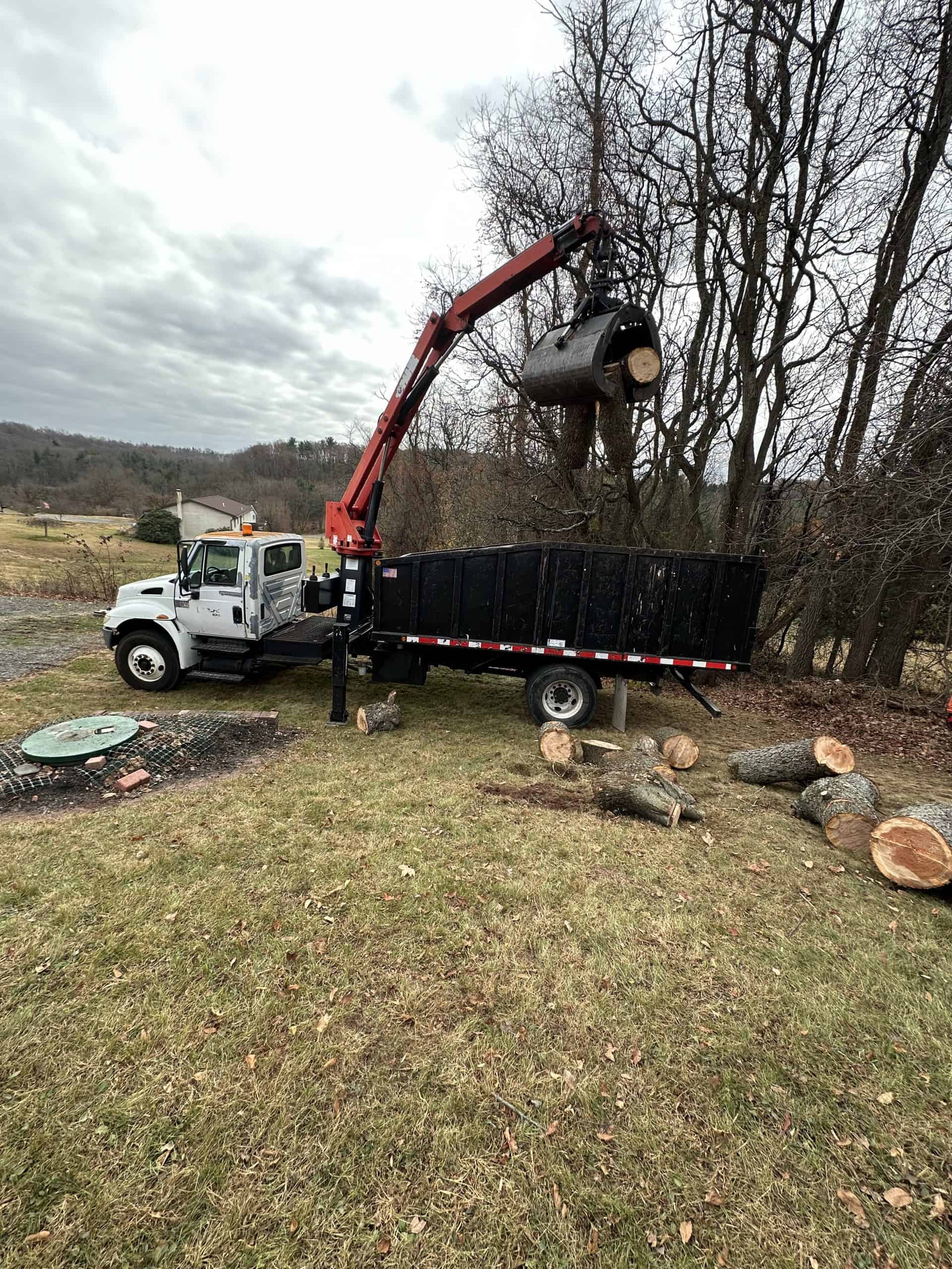 A truck with a hydraulic crane lifts large tree logs into a black container. Several logs lie on the grass nearby, while bare trees and a cloudy sky form the background.