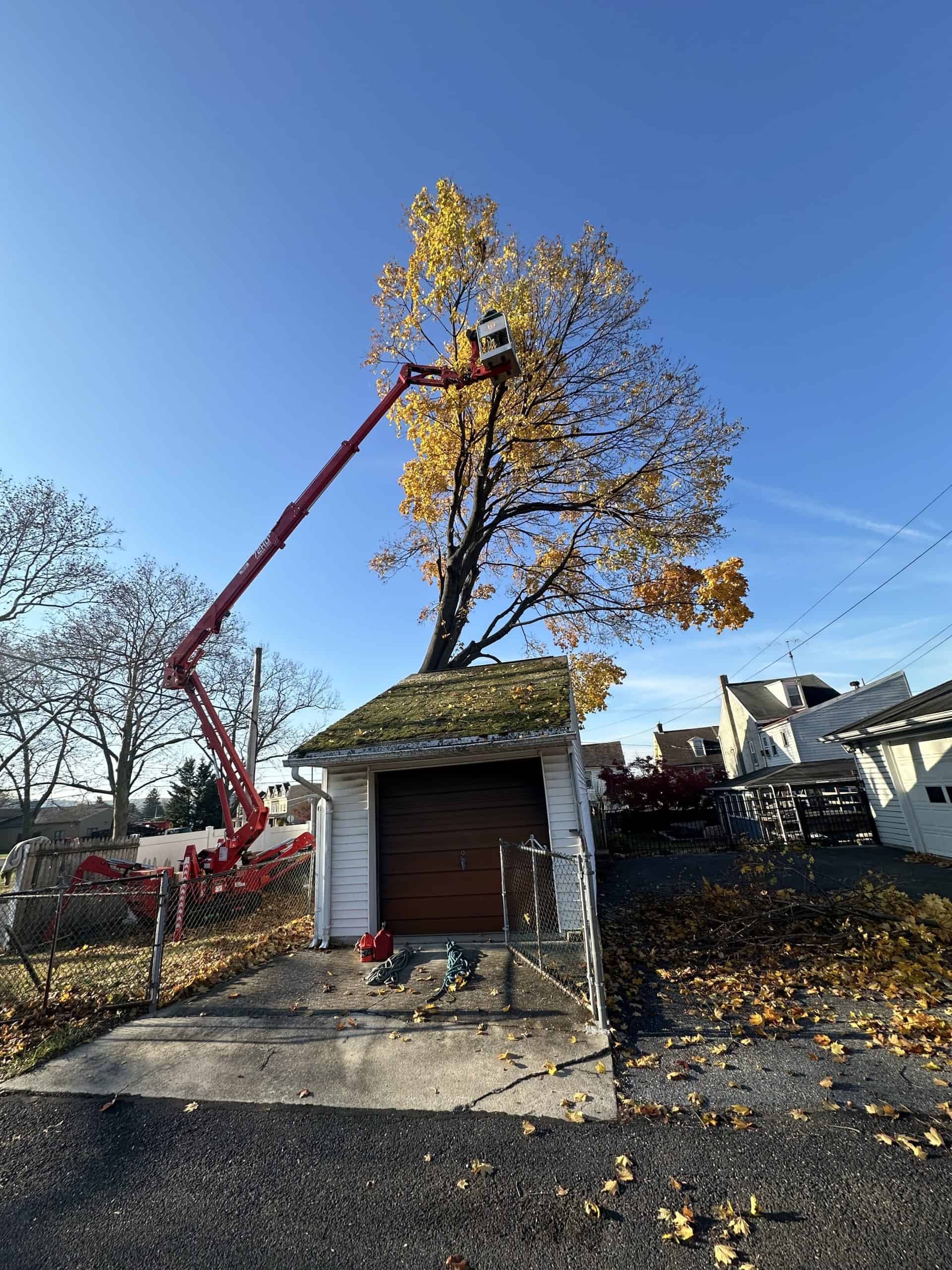 A person in a red cherry picker trims branches from a tall tree with yellow leaves over a small garage. The garage doors are closed, and a few tools are scattered on the ground. It's a clear day with blue skies.