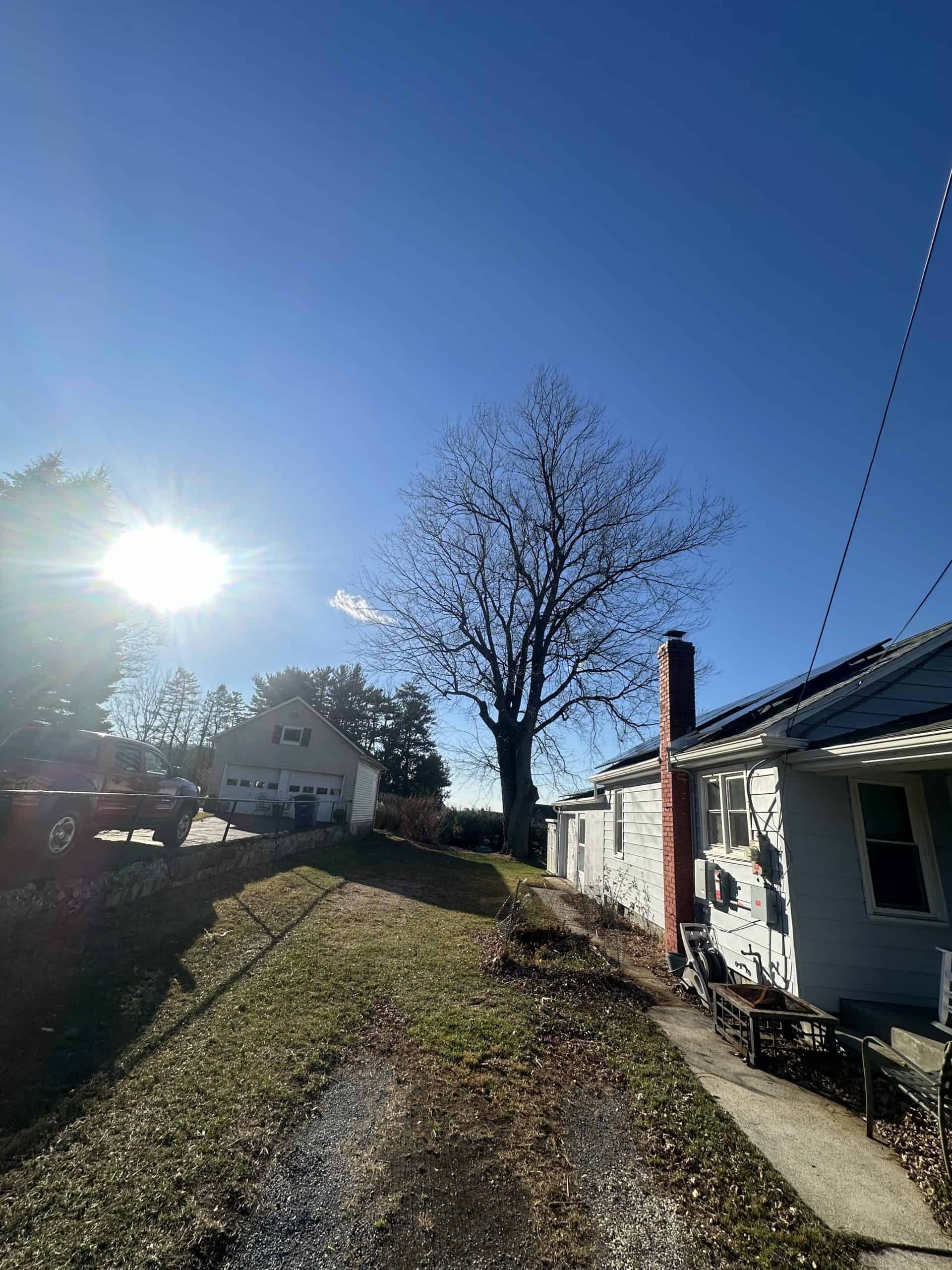 A rural scene with a single-story house on the right, featuring a red brick chimney. A large bare tree stands centrally. The sun shines brightly in a clear blue sky. A parked red truck and another house with a garage are visible in the background.